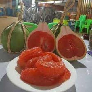 Cây bưởi ruby Thái - Giống Cây Mới Tiên TIến