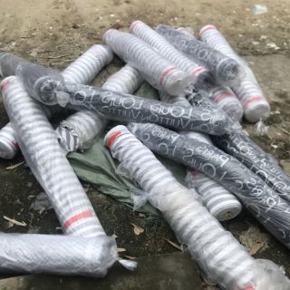 Bộ " Tù " Hót Hít 2019