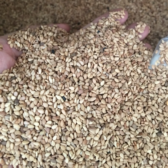 Hạt Mè Vàng còn vỏ/Tróc vỏ 500g