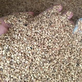 Hạt Mè(vừng) Vàng còn vỏ/Tróc vỏ 500g