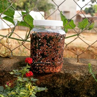 Giảm cân thần tốc- Trà gạo lứt đậu đen 1 kg