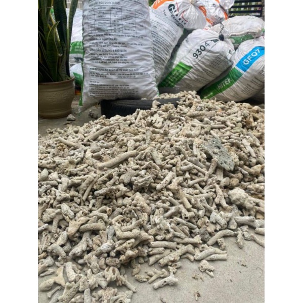 SAN HÔ LỌC NƯỚC HỒ CÁ TĂNG PH
