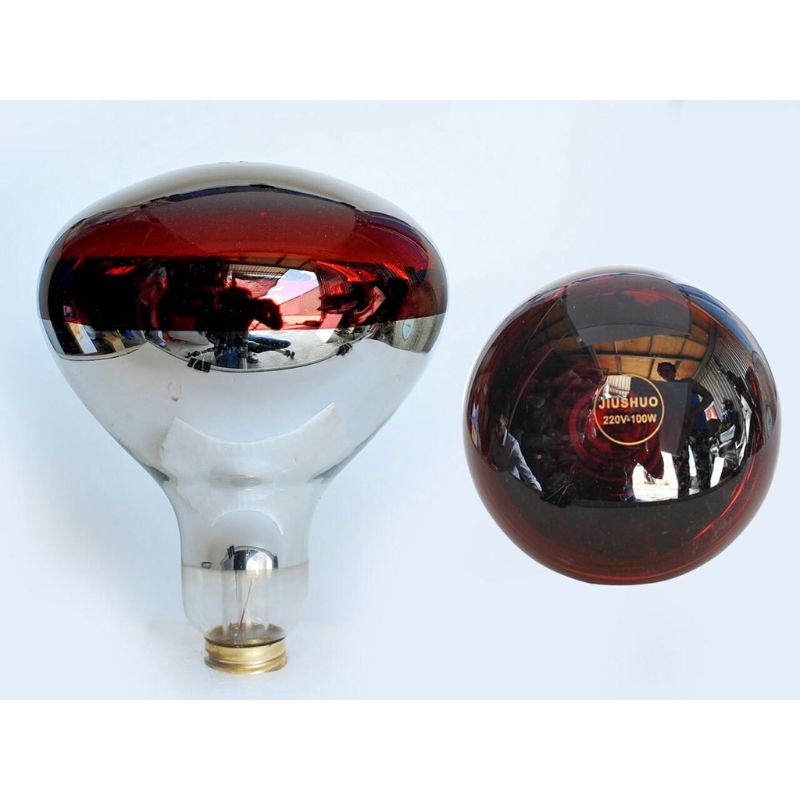 Bóng úm gà, úm lợn, bóng hồng ngoại, sưởi ấm gia súc/gia cầm 45W, 75W, 100W, 150W, 175W, 200W tiết kiệm năng lượng