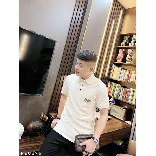 Áo polo gucci nam