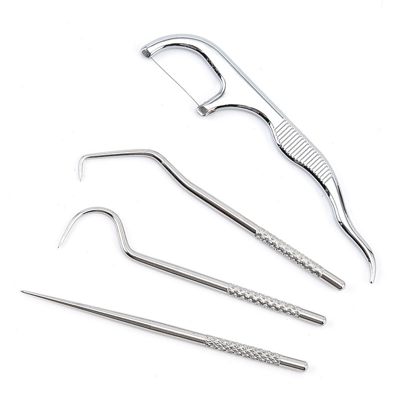 Tăm Xỉa Răng Bằng Thép Không Gỉ Tái Sử Dụng Tiện Lợi