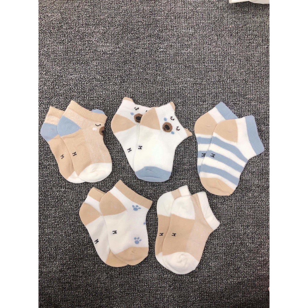 Set 5 đôi tất robibabi