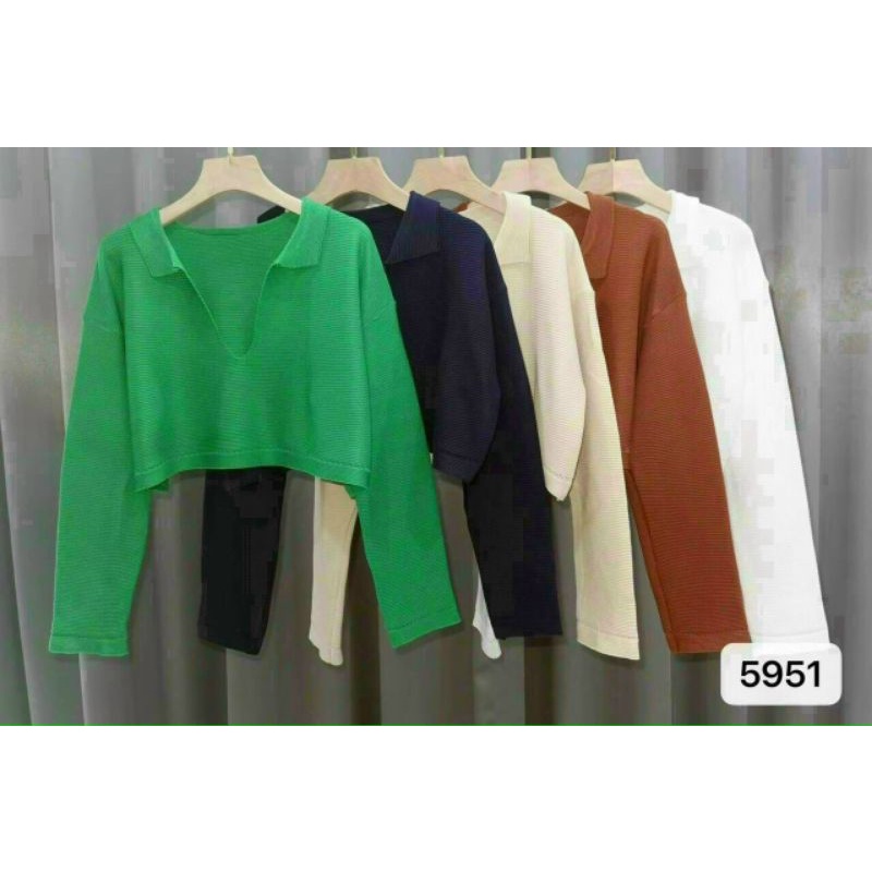 Áo thun phôm rộng Croptop Cổ V tay dài (A15)