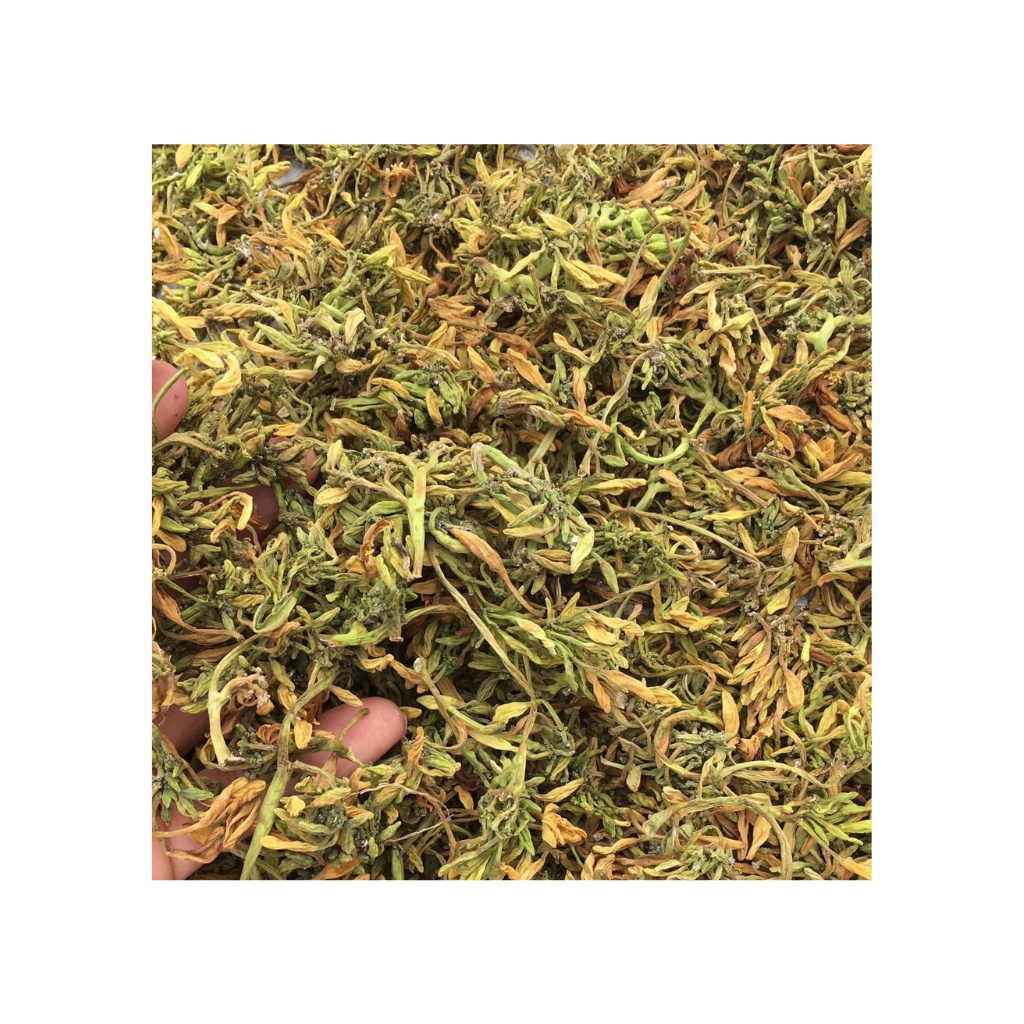 Hoa đu đủ đực khô thượng hạng tác dụng phòng ngừa và hỗ trợ điêu tri ung_t.h ư, tiểu đường túi 1Kg | BigBuy360 - bigbuy360.vn