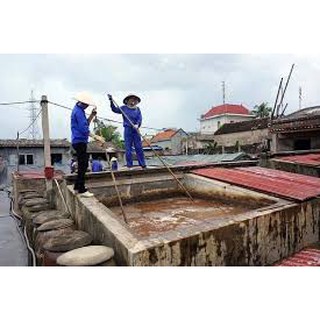 nước mắm quang hải loại cá thu