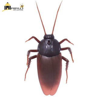 Con Gián Đồ Chơi Điều Khiển Từ Xa