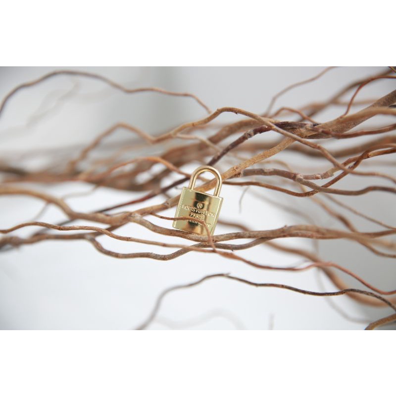 Túi xách nữ LV dáng cốp sz19cm họa tiết hãng chất da dày dặn fullbox