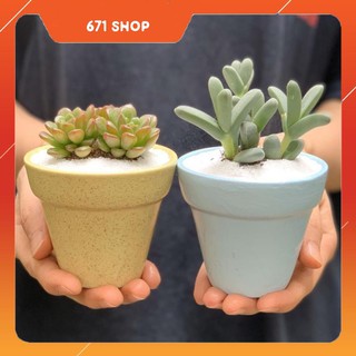 Bộ 2 Cây Mini Để Bàn - 7x7x15 cm - Sen Đá Ruby & Sen Đá Tim Lá Dài & Chậu Trồng Cây Gốm Sứ Bát Tràng - Dáng Trôn Ốc