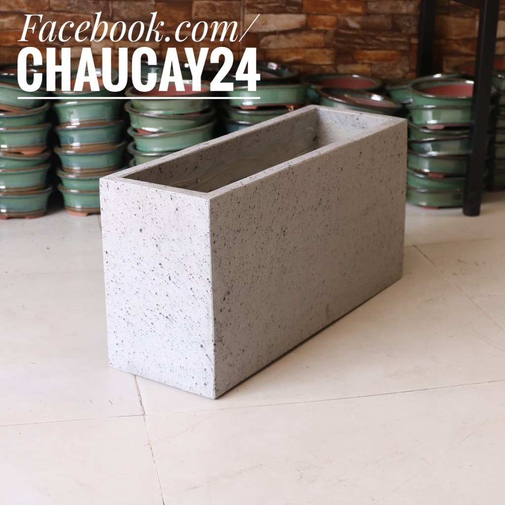 Chậu xi măng đá mài hình chữ nhật lớn (CHỈ GIAO HCM) trồng cây cảnh nội thất, cây văn phòng, phong thủy