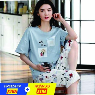 Đồ bộ nữ cộc tay bộ mặc nhà dễ thương thun cotton mềm mại DN02