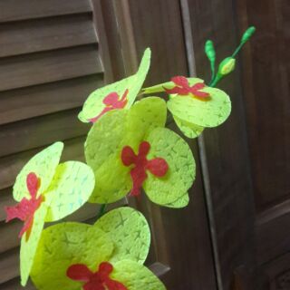 Nguyên liệu Lan hồ điệp giấy lụa