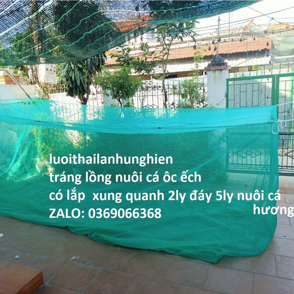 Tráng Nuôi Cá Hương cá tra,Dài 6 Rộng 4 Cao 1 Xung Quanh 2ly đáy 5ly Nuôi Cá Từ Nhỏ Tới To, Lưới Thái Lan