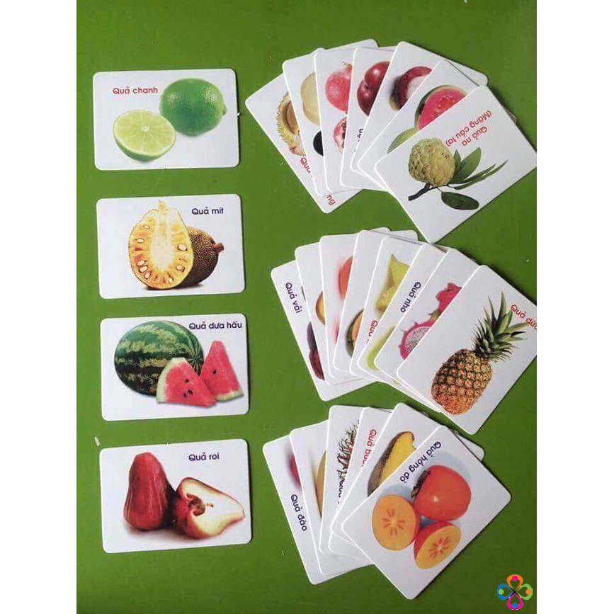 Bộ Thẻ Học Thông Minh Flashcards 16 Chủ Đề 416 Thẻ Học Song Ngữ Anh-Việt
