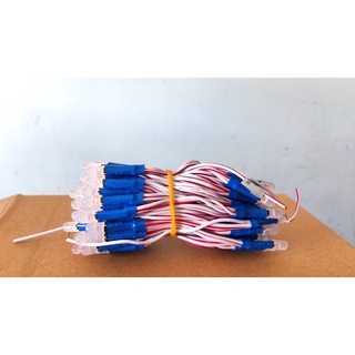 Led ruồi 12v 100 bóng
