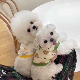 Áo thun chuột dành cho chó mèo