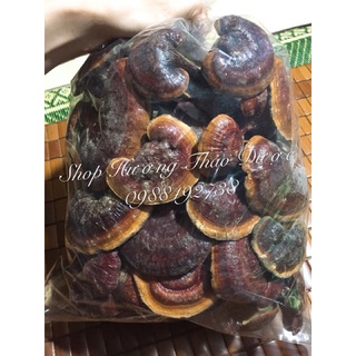 100g Nấm Lim Xanh ( khô )