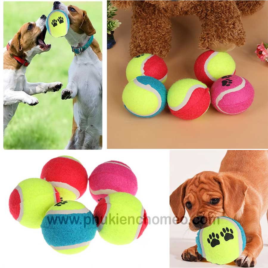 Bóng tenis đồ chơi cho chó mèo (không nẩy)