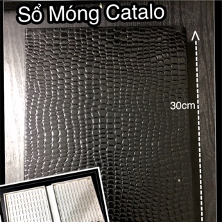 Sổ Móng Catalo