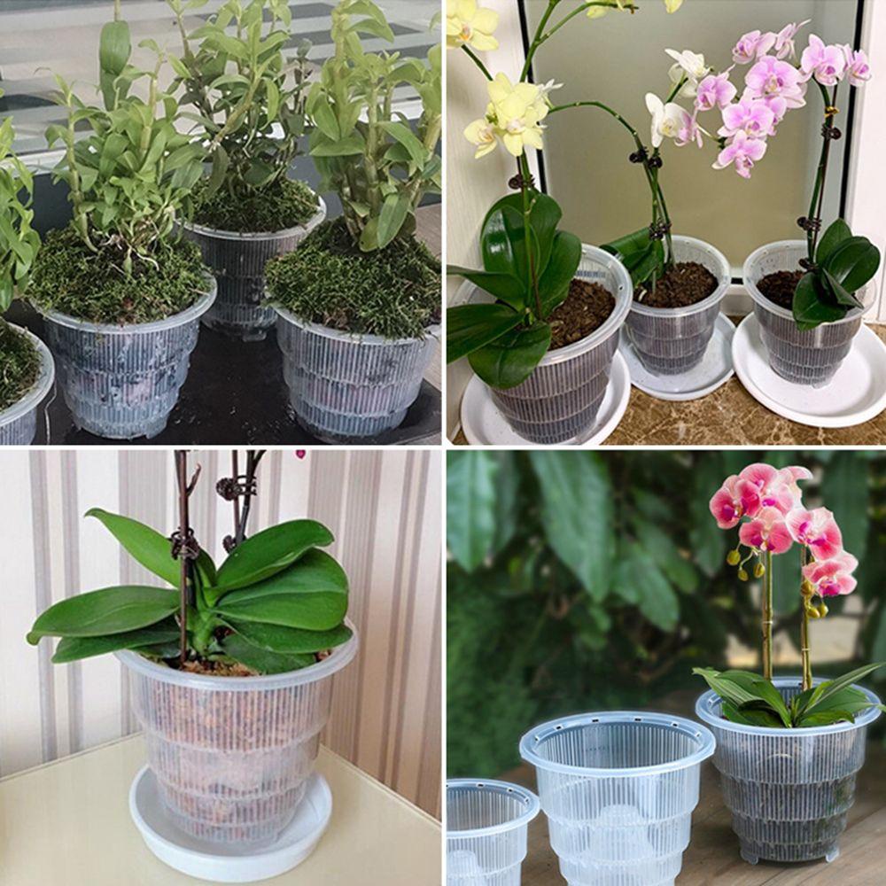 Chậu Trồng Cây Bằng Lưới Trong Suốt Điều Khiển Rễ Cây