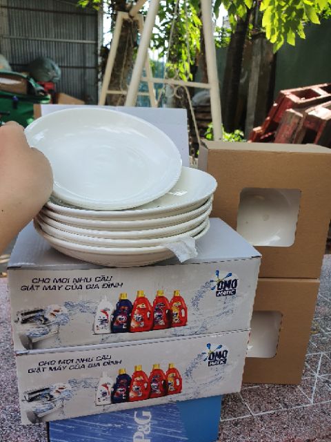 Combo 5 đĩa sứ trắng