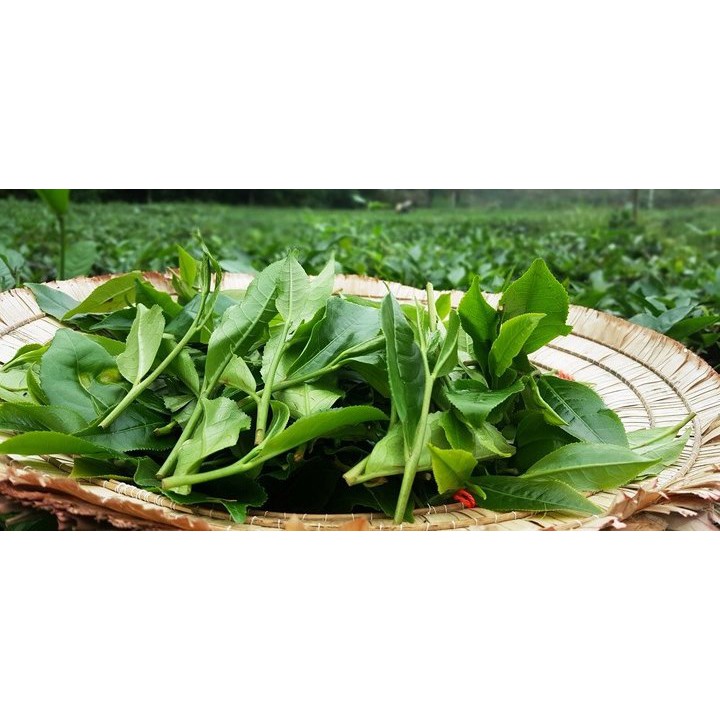 Trà xanh Móc câu hảo hạng Lộc Tân Cương gói 250G | BigBuy360 - bigbuy360.vn