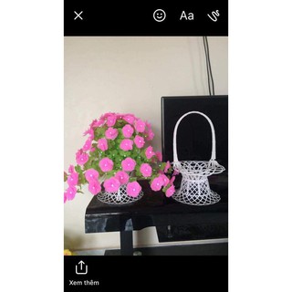 Lá lan và lan hồ điệp 5b