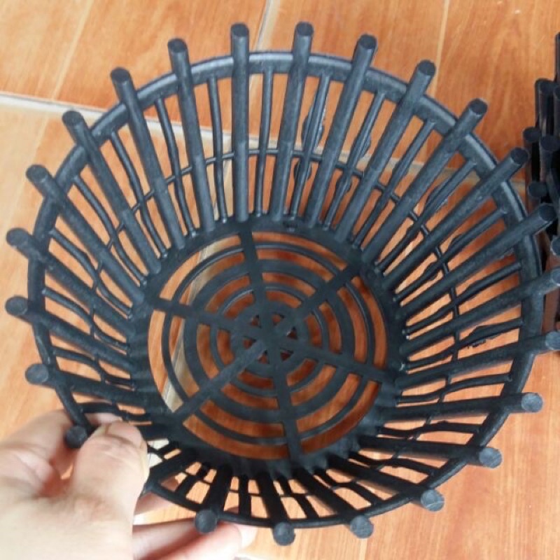 chậu nhựa trồng Lan có bán phụ( lan que) chắc chắn, đủ sezi(phi 20-26)
