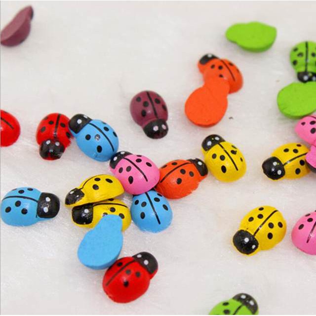 Combo 2 bọ cánh cứng mini 🔥FREE SHIP🔥 phụ kiện trang trí tiểu cảnh
