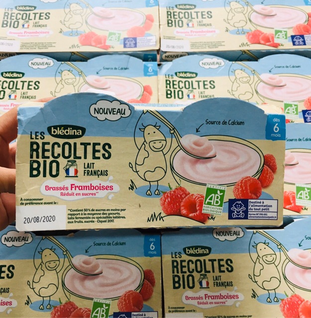 Sữa chua Bledina đủ vị cho bé từ 6M