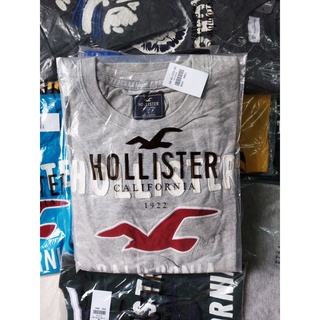 Áo thun Hollister Gray new [ 100% cotton bông xịn]