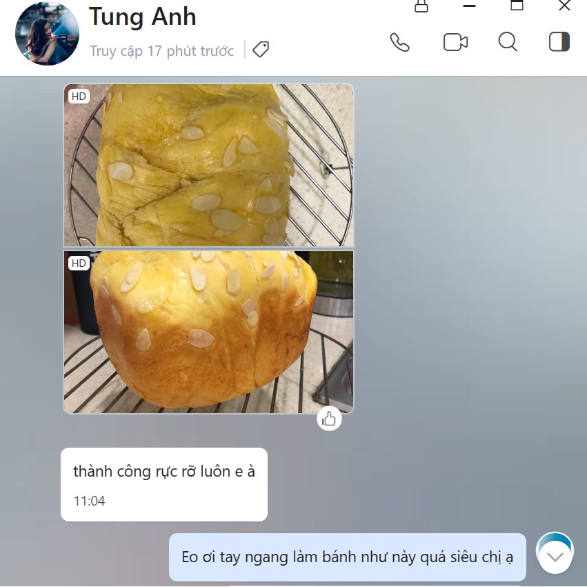 💥HÀNG CHÍNH HÃNG💥  Máy làm bánh mì tự động 3 trong 1 Petrus PE8860 Phiên bản cao cấp, máy nhồi, ủ, nướng bánh mì