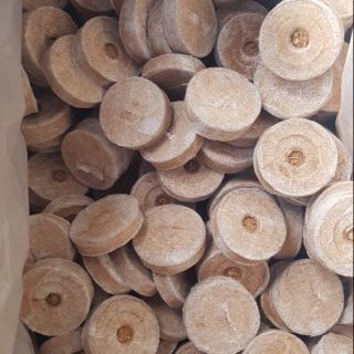 Bộ 100 viên nén xơ dừa ươm hạt