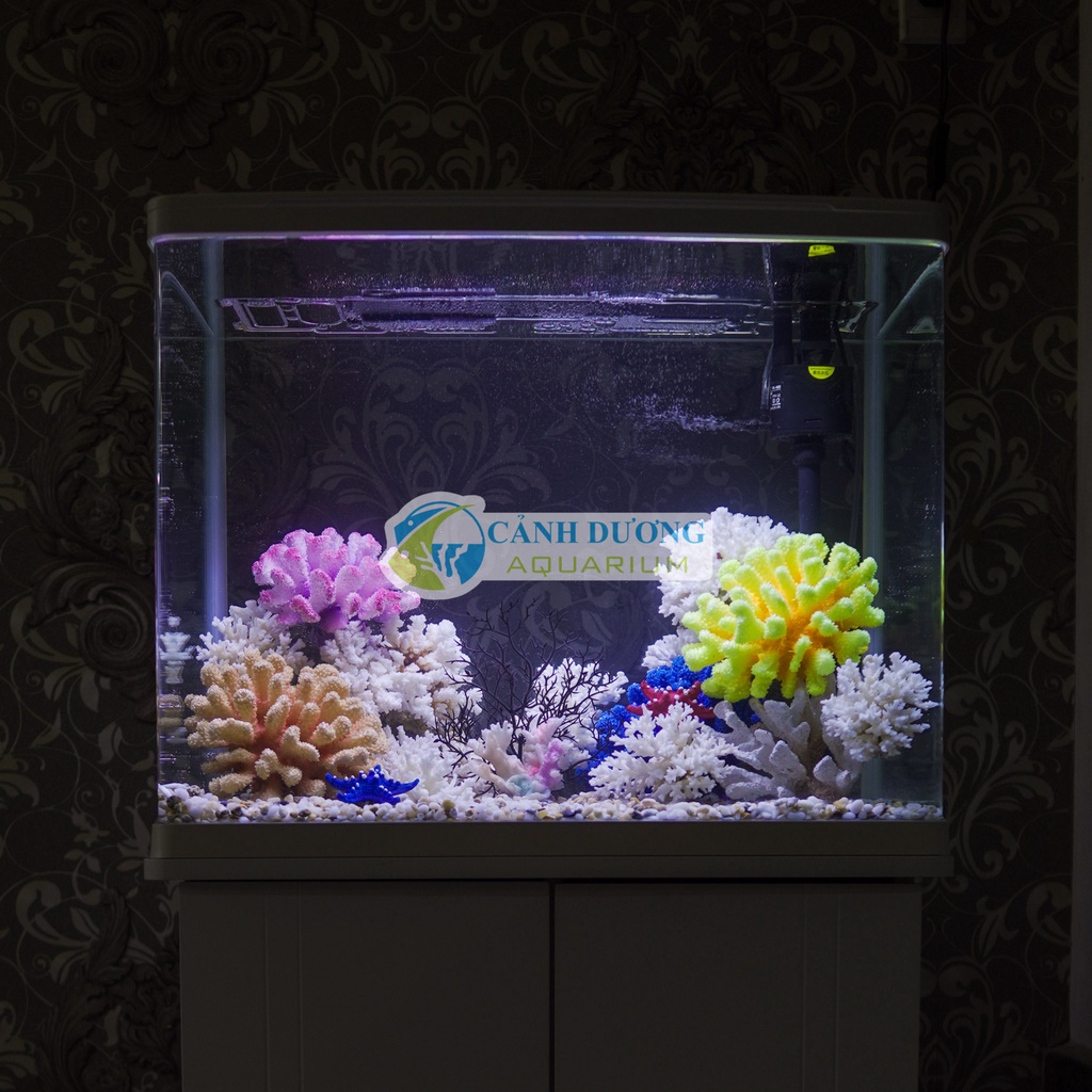 Hồ Cá Mini Để Bàn XS-620