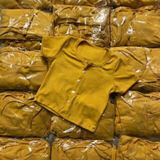FREESHIP ĐƠN 50K_ Áo Croptop Nút Thật