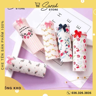 Túi zip 5 chiếc quần lót cotton nữ cute cao cấp
