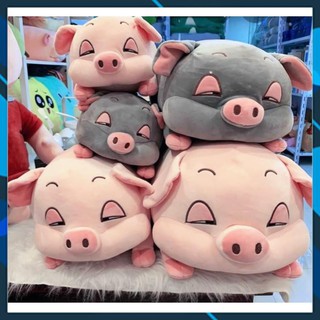 Gấu bông con heo cao cấp ruột gòn bi