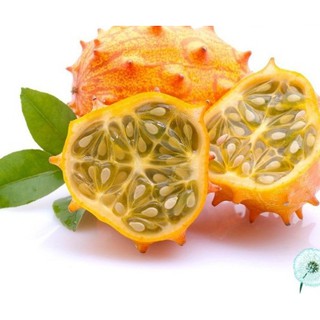 Hạt Giống Dưa Chuột Gai Chịu Nhiệt Kiwano - Gói 5 hạt