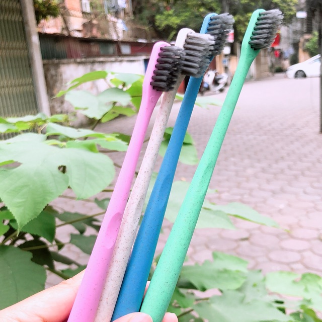 Bàn chải đánh răng lúa mạch
