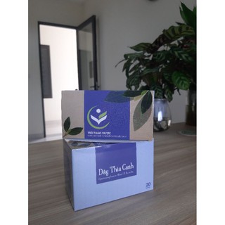 Trà thảo dược - Dây thìa canh