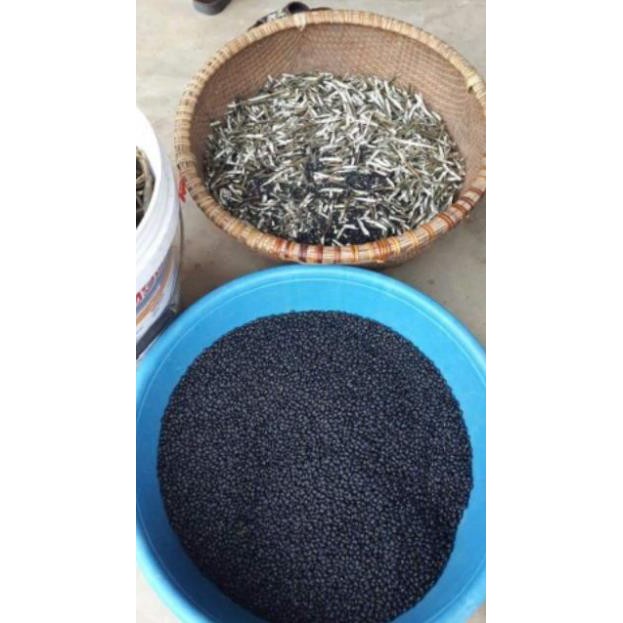 500g Trà đậu đen gạo lức rang tay Da sáng dáng xinh) - Healthy