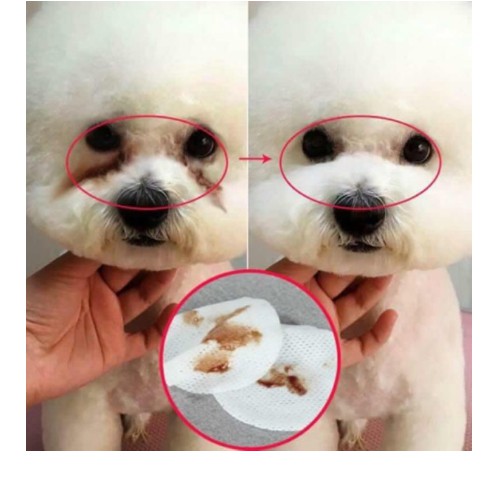Bông lau vết ố mắt cho chó và mèo (100 miếng )