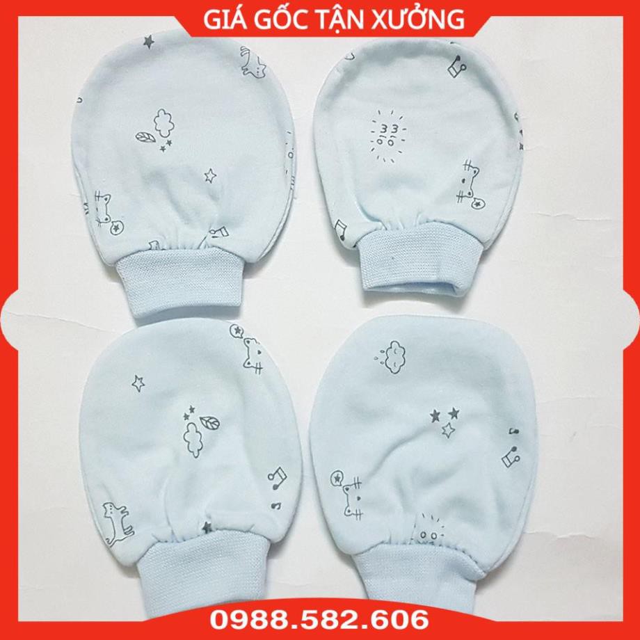 Combo 2 Đôi Bao Tay (2 đôi/túi) + 2 Đôi Bao Chân Miomio Cotton - Mio Việt Nam