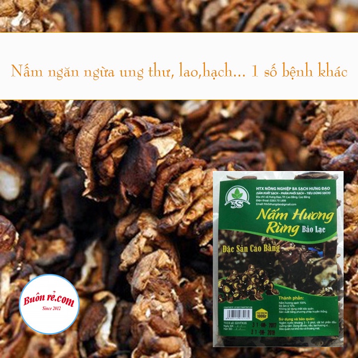 Nấm hương rừng khô (100G) thơm ngon giàu dinh dưỡng - Đặc sản Cao Bằng nông sản sạch 00021