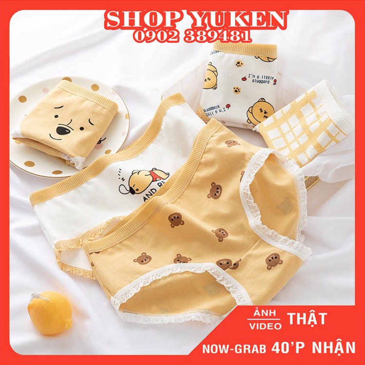 ♥️ Shop Uy Tín ♥️{Combo 5 Chiếc} Quần lót nữ cotton gấu vàng Q0036, Quần lót cotton cho bé gái, chíp bé gái