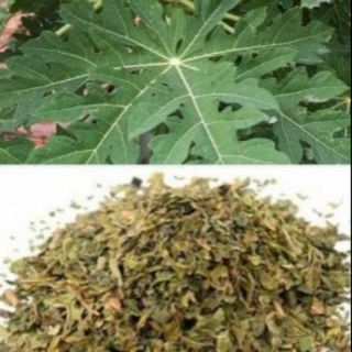 Lá đu đủ đực 1kg khô, sạch, hàng phơi sấy tự nhiên, hỗ trợ tăng cường miễn dịch