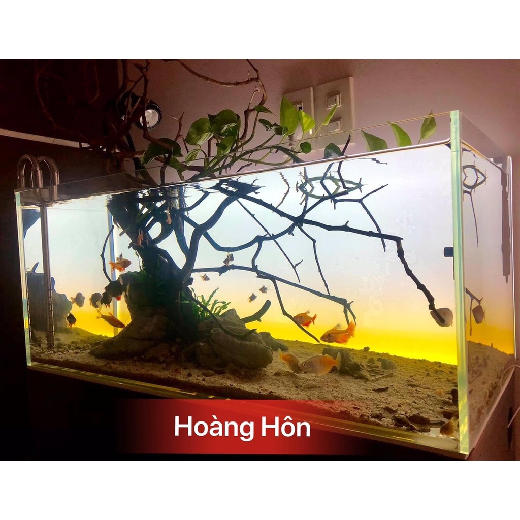 Decal dán hồ cá - Phong cách Open Sky -Hoàng hôn-Green - Nhiều kích thướt chọn lựa